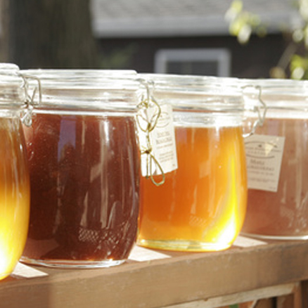 Production et vente de miel de Castellane